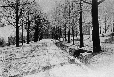 Linden Lane, the main campus road,  in winter. 
