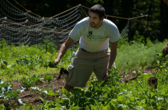 Food Power and the Environment Summer Course