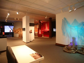 View of the Cantor Art Gallery 