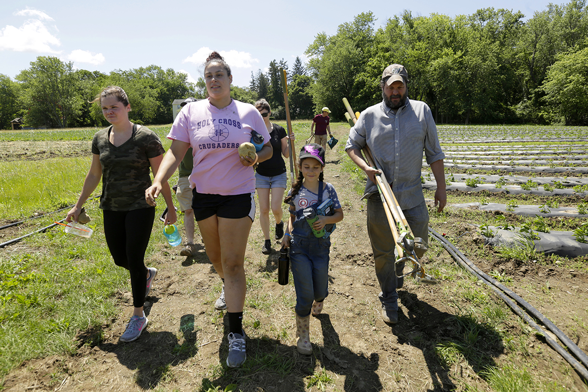 Daina Harvey, associate professor of sociology, far right, teaches a Community-Based Learning course called Food, Beer and the Environment. The class worked at the Community Harvest Project in Grafton, Massachusetts. 