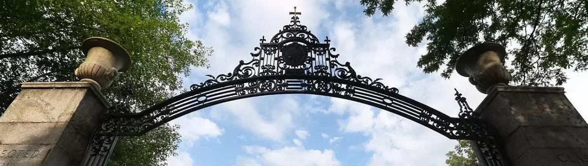 looking up at the front gate iron archway