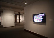 Installation view of video animations by Simeon Lloyd Wingard.