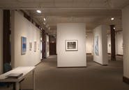 Installation view of front of the gallery