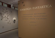 Zoologia Fantastica Installation views