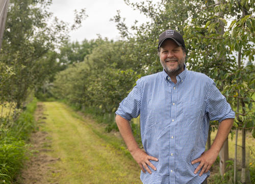 Holy Cross professor Daina Harvey stands in an orchard