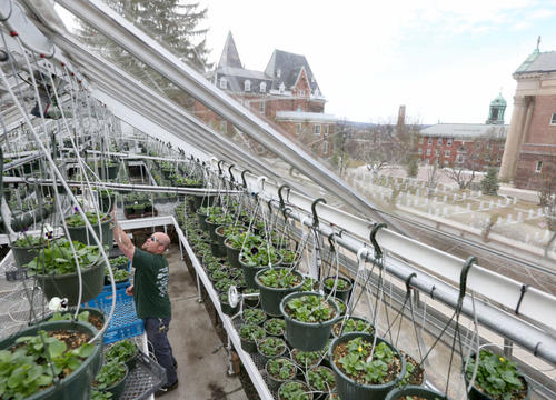 Greenhouse on the Holy Cross campus. Photo by Tom Rettig