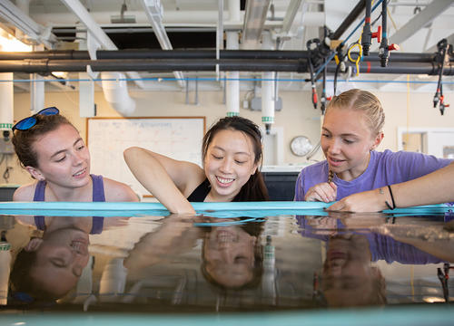 Three students reach into a water tank at the lab.
