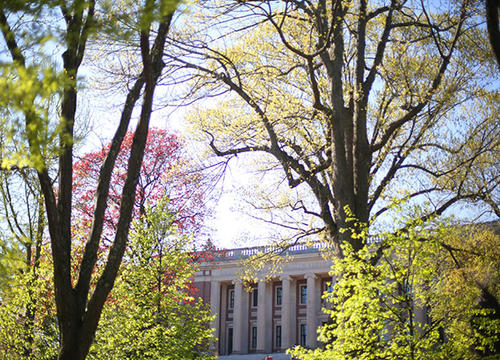 A photo of Dinand Library flanked by budding spring trees