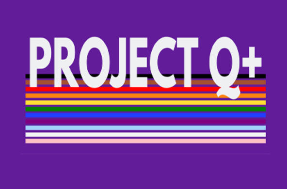 Project Q+ Logo