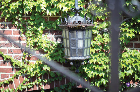 Lantern surrounded by ivy