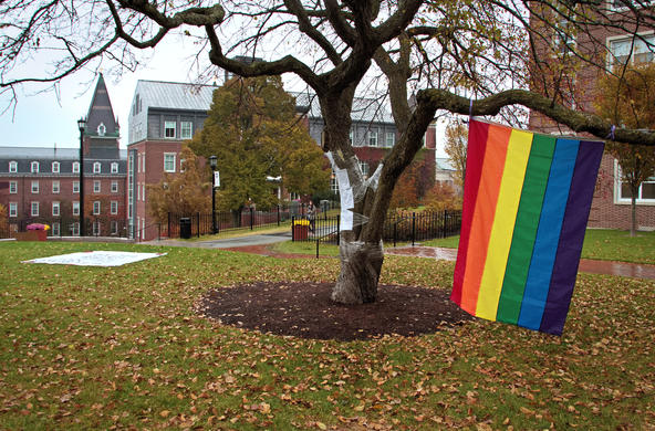 Rainbow flag and protest posters on display on the tree on the Hoval.