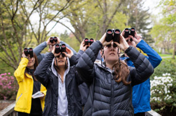 group of students peering through binoculars 