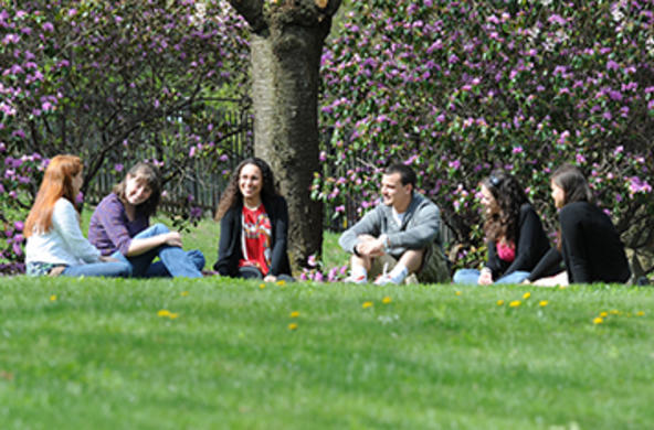 faculty member under a tree outside on grass with 5 students