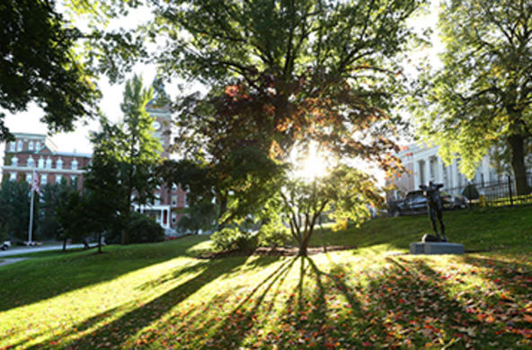 sun peaking out of trees with O'Kane Hall and Dinand Library in background
