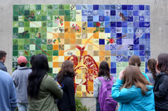 students view artwork outside of dinand library
