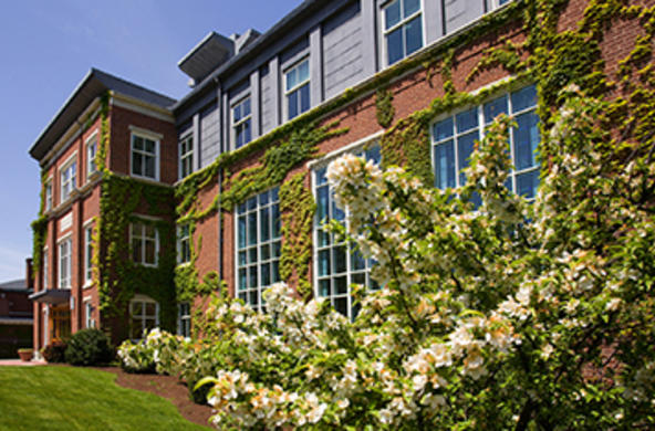smith hall with a flowering bush
