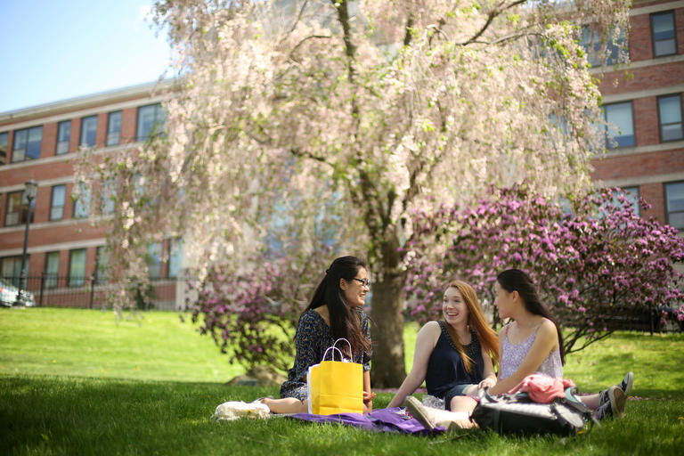 three students sitting under a tree on a spring day