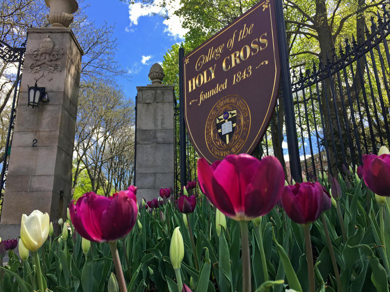 Holy Cross sign with tulips in the foreground
