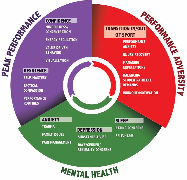 Pie chart image of Sport Psychology Model including peak performance, performance adversity and mental health 