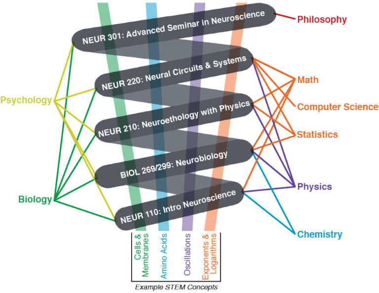 The neuroscience core curriculum diagram