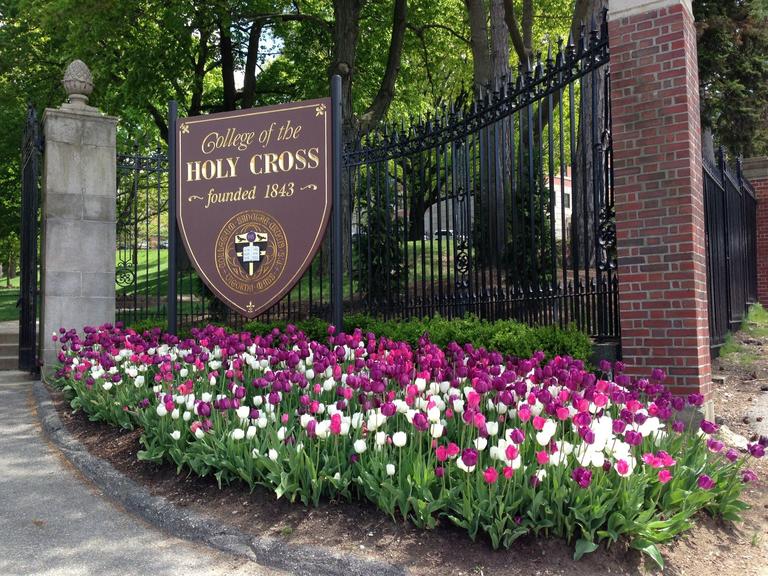 Entrance gate with College of the Holy Cross plaque and white, pink and purple tulips blooming on the ground.