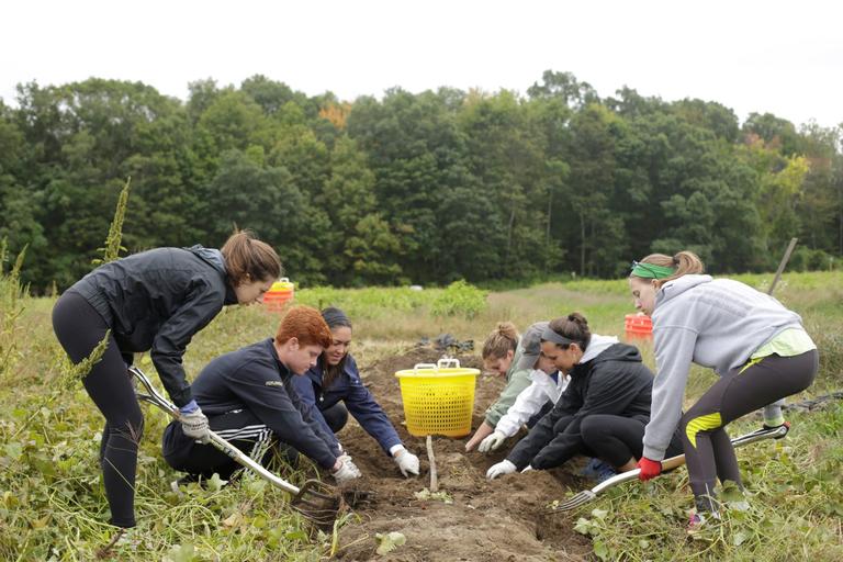Students actively working on a community project digging in the dirt.