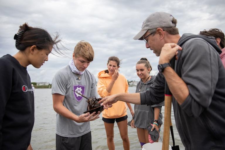 Students and instructor examining a horseshoe crab at the ocean.