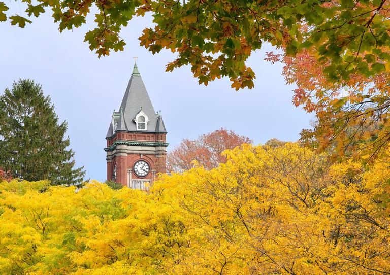 A view of the Holy Cross clocktower from behind some fall foliage.