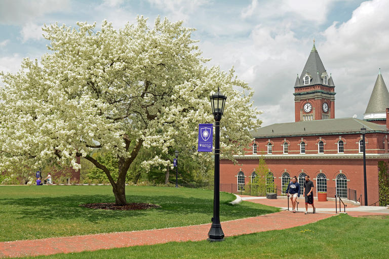 A photo of a beautiful blooming tree with white flowers against the backdrop of a campus building. Two students are walking on the pathway. It looks to be a warm day as both students are wearing shorts. Two other students sit in the background on the grass.