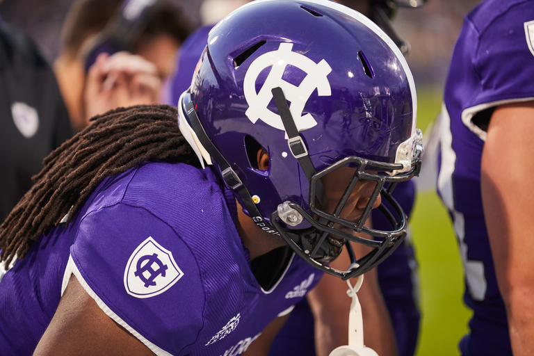 Side image of a football player in purple helmet on the field 