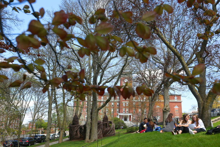 students sitting under a tree on the grass in front of o'kane hall