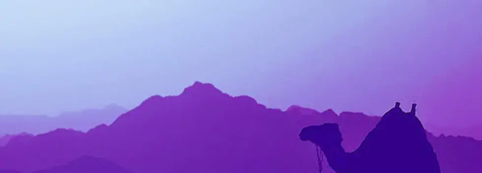 LEARN ARABIC WITH ASA!