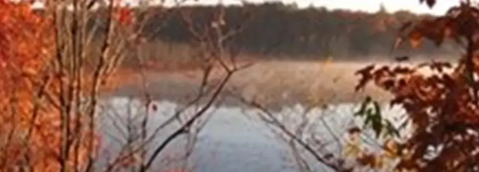 Mass Central Rail Trail Nature Run