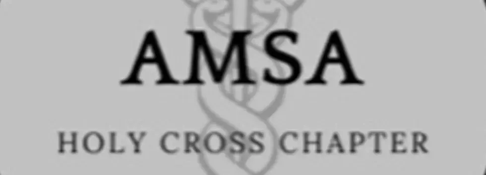 AMSA Mentoring Workshop