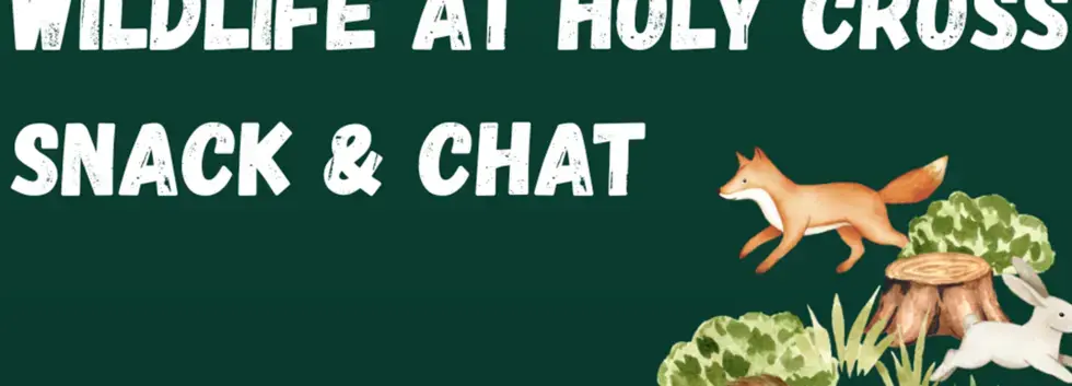 Snack and Chat: Wildlife at Holy Cross