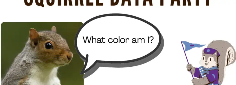 Squirrel Mapper Data Party