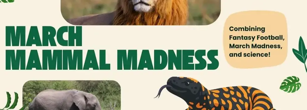 It’s March Madness…with Mammals (and More!): Join the Science Library Online Pool