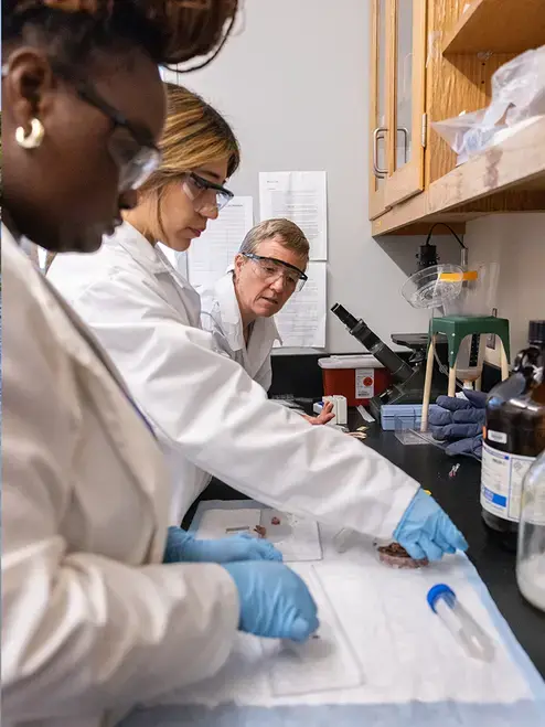 Holy Cross students and their professor perform research in the summer of 2026.