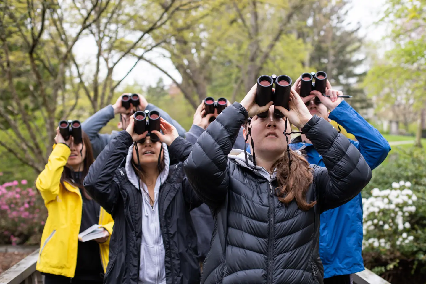Holy Cross students use binoculars to bird watch during a class trip.