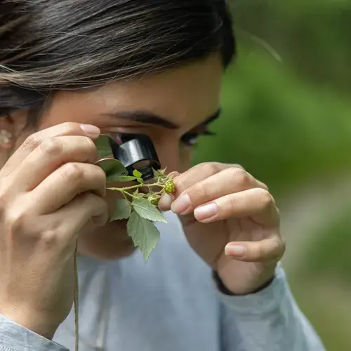 A study conducts plant research during their summer session project