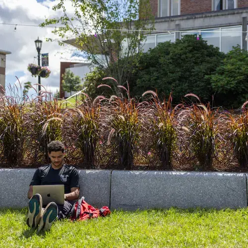 A student studies on their laptop on the Hogan lawn in 2026
