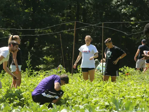 HIST 199: Food and Power taught by visiting lecturer Christopher Staysniak visits Cotyledon Farms in Leicester MA