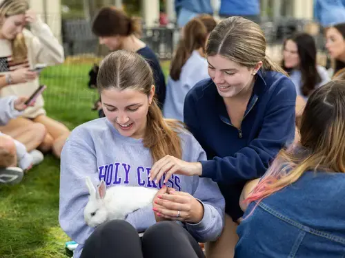 Petting zoo event; students hold a rabbit