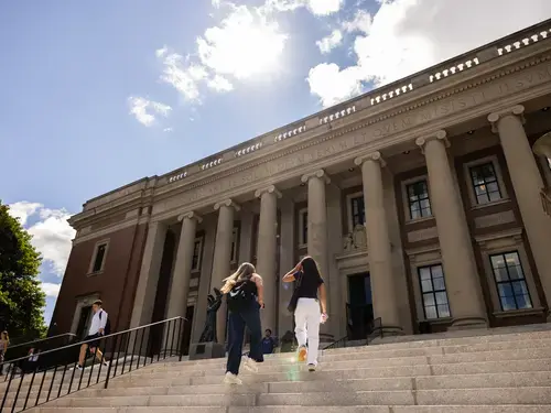 Students climbing steps on a sunny day