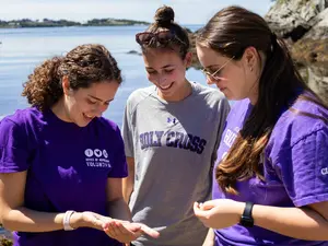Three students during a summer research session
