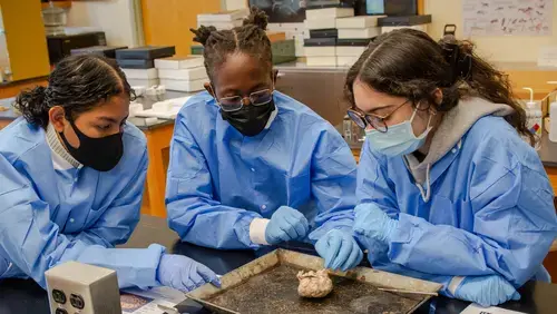 Neuroscience students working in a lab with blue lab coats.
