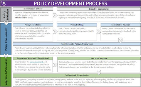 Image Link to the Policy Process Diagram described below