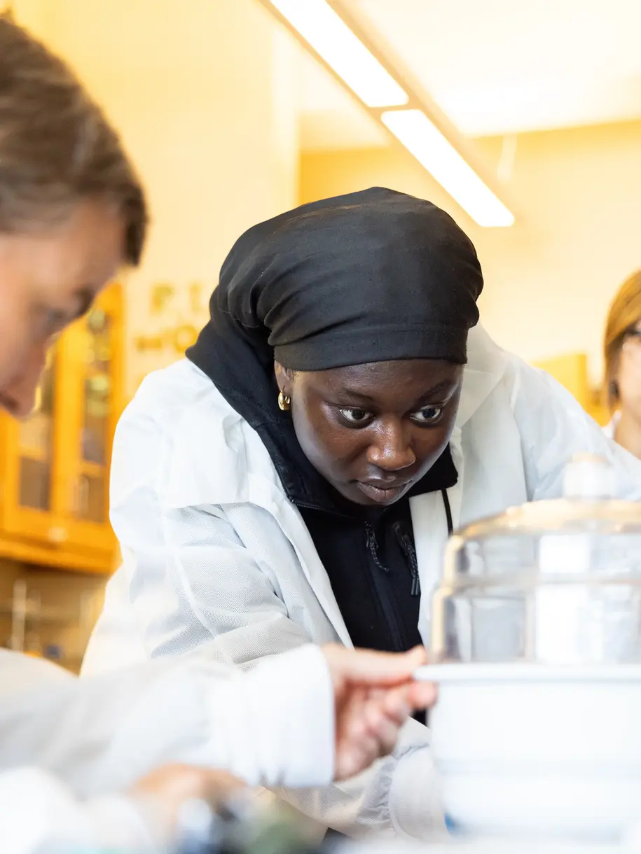 Students and their professor conduct research in a lab at Holy Cross