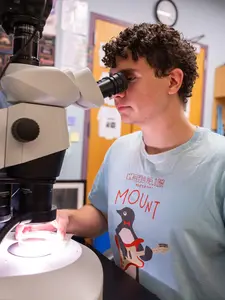 A student conducts research at Holy Cross