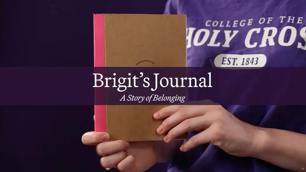 Brigit's Journal